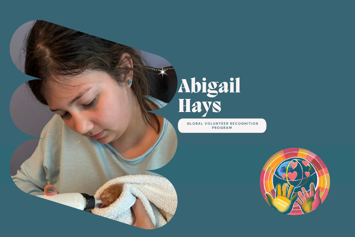 Abigail Hays