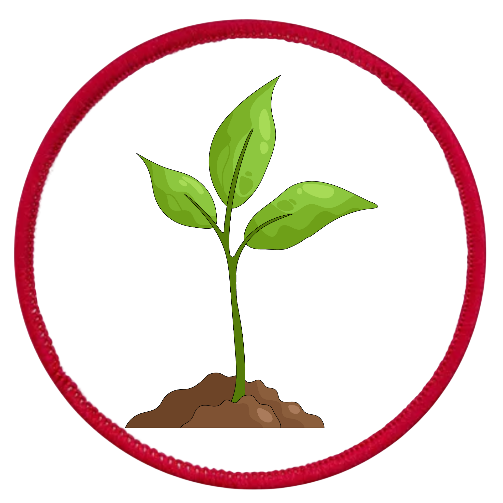 Earth Advocate Badge Illustration of a green plant with a blue circular border on a white background