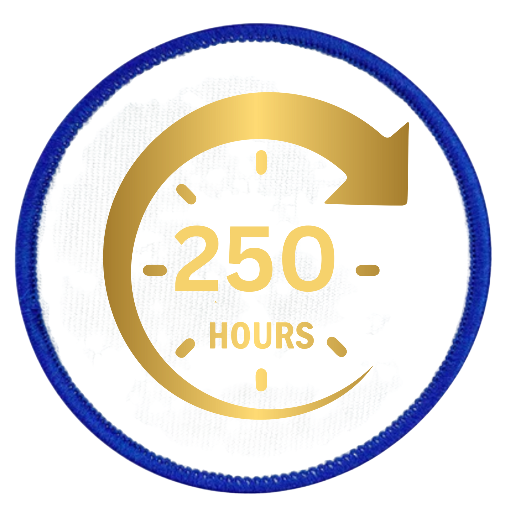 service milestone badge in different colors and shapes