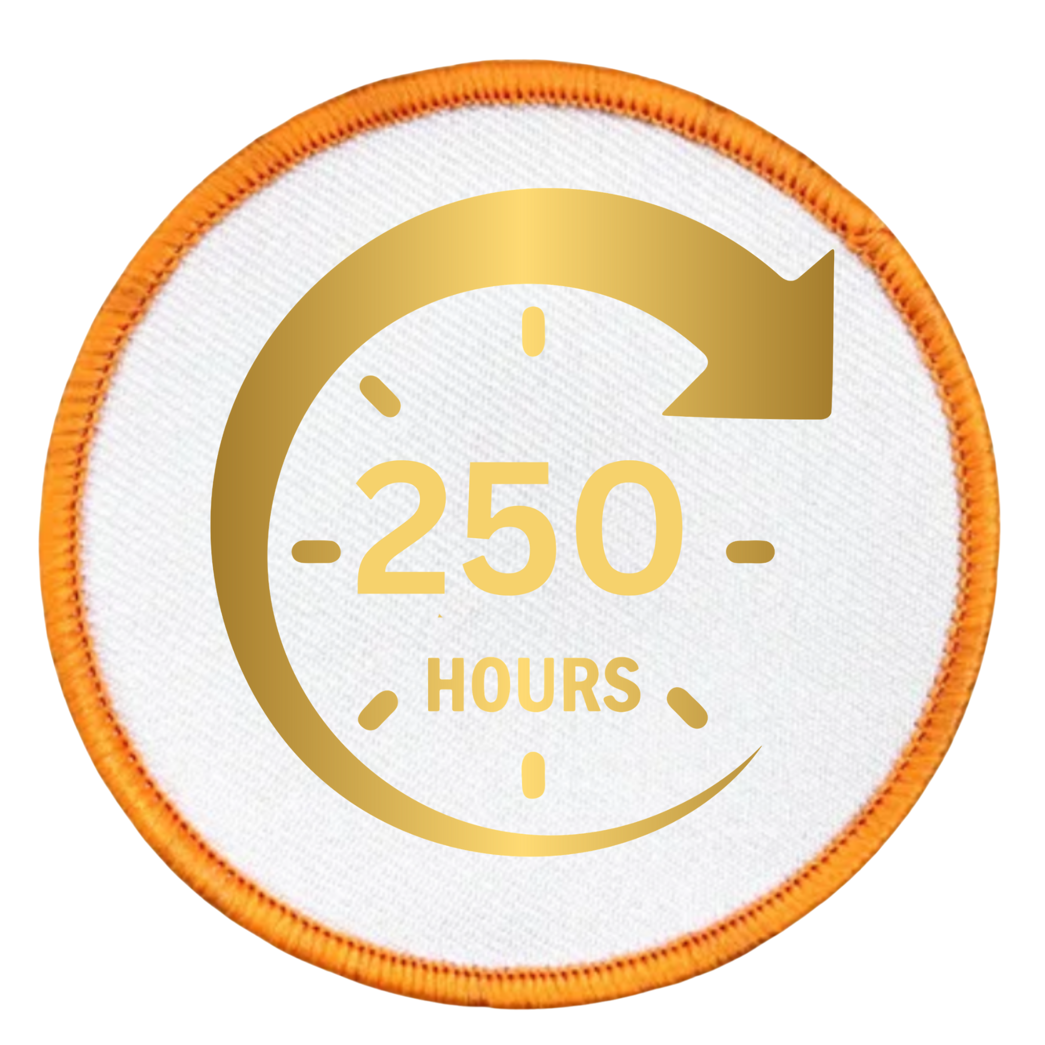 service milestone badge in different colors and shapes