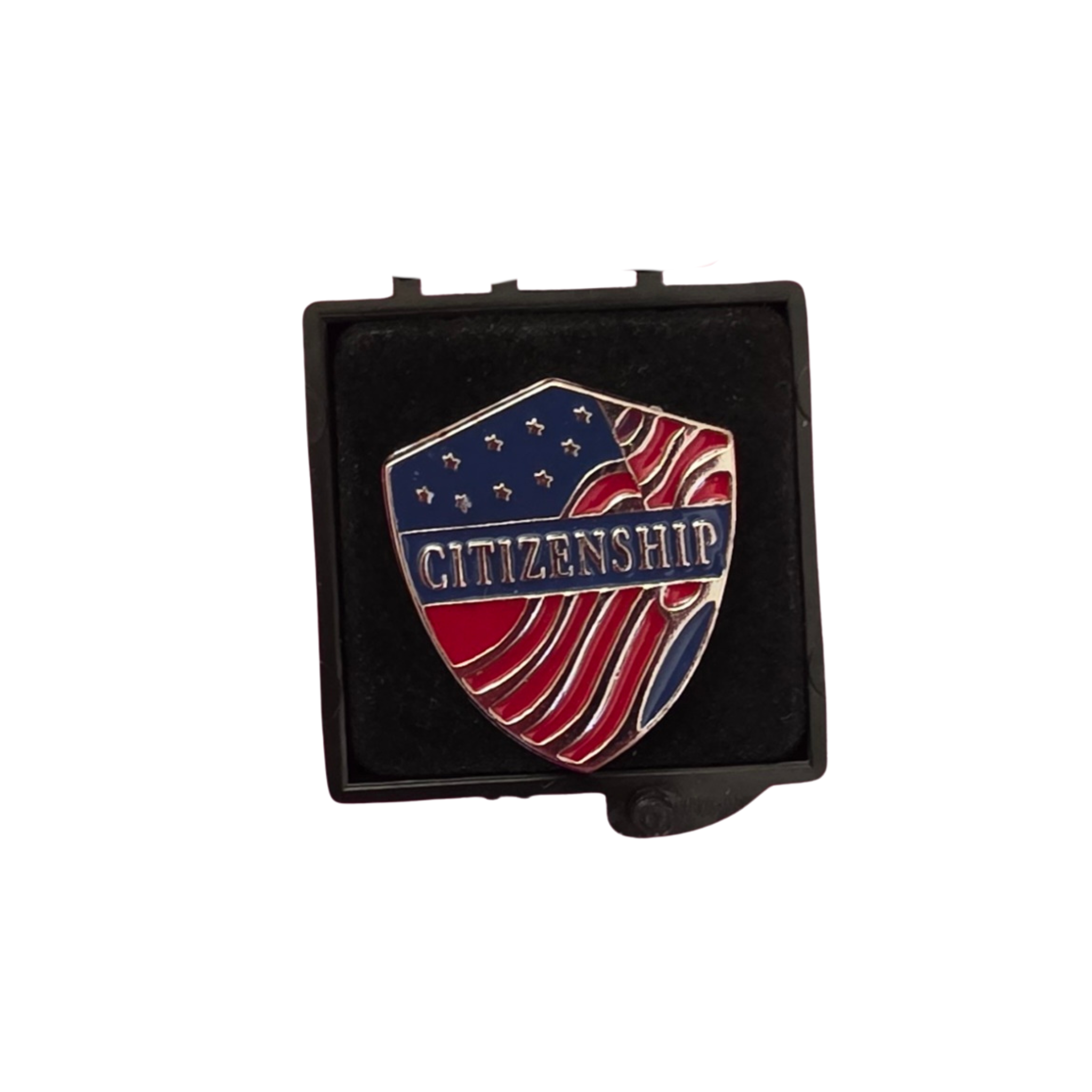 Emblem with American flag design and 'Citizenship' text on a white background