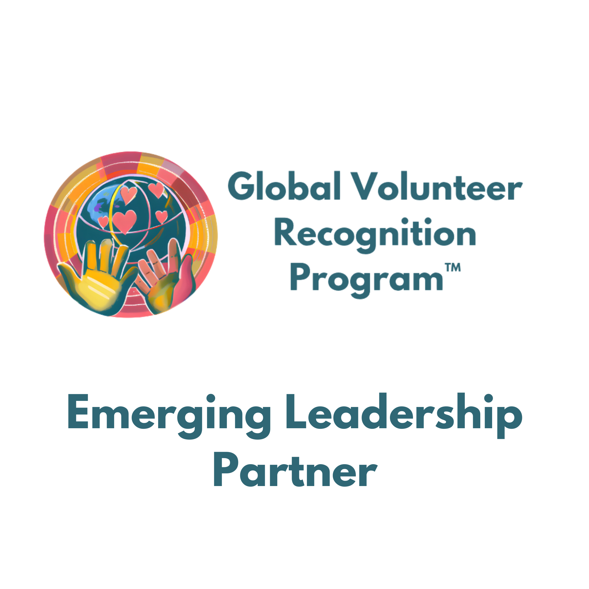 Emerging Leadership Partner
