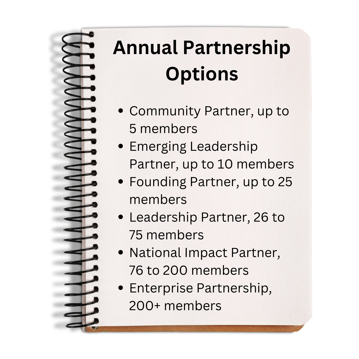Partnerships options 