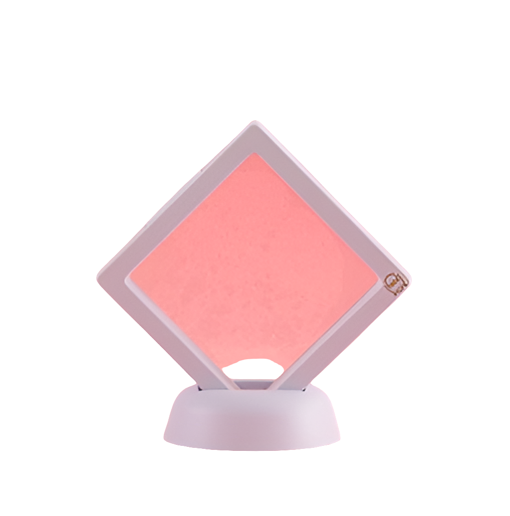 3D Jewelry Coin Display Stand Case Rack Collections Storage Box For Earring Gems Ring Doll Coin Badge Medal Holder